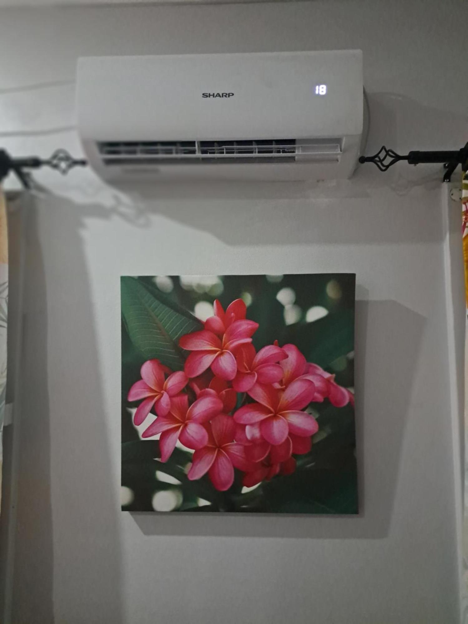 Tropical Almond Haven Panzió Suva Kültér fotó